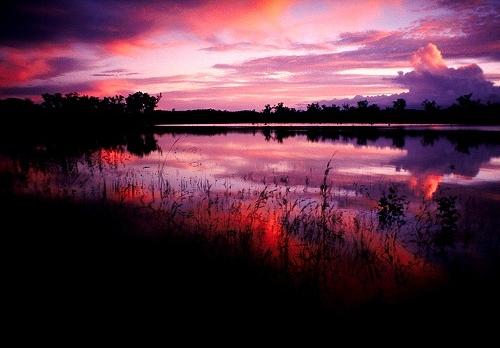 Voyage sur-mesure, Mareeba